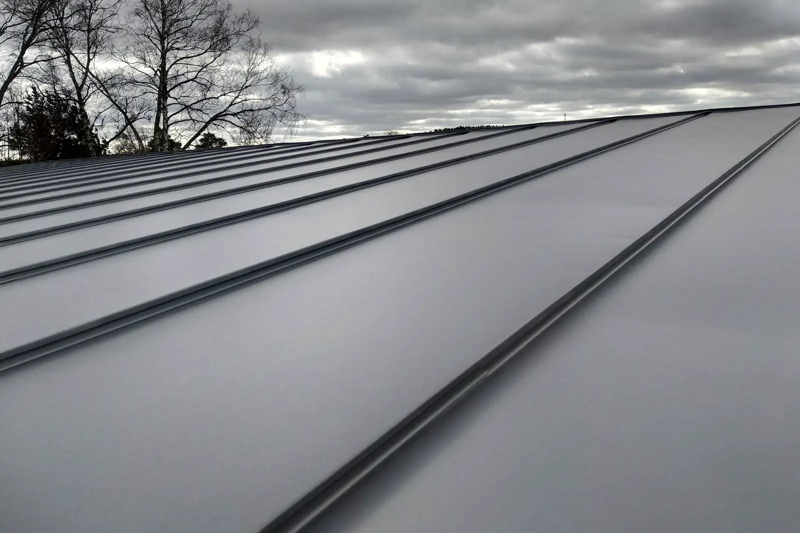Roof repair service